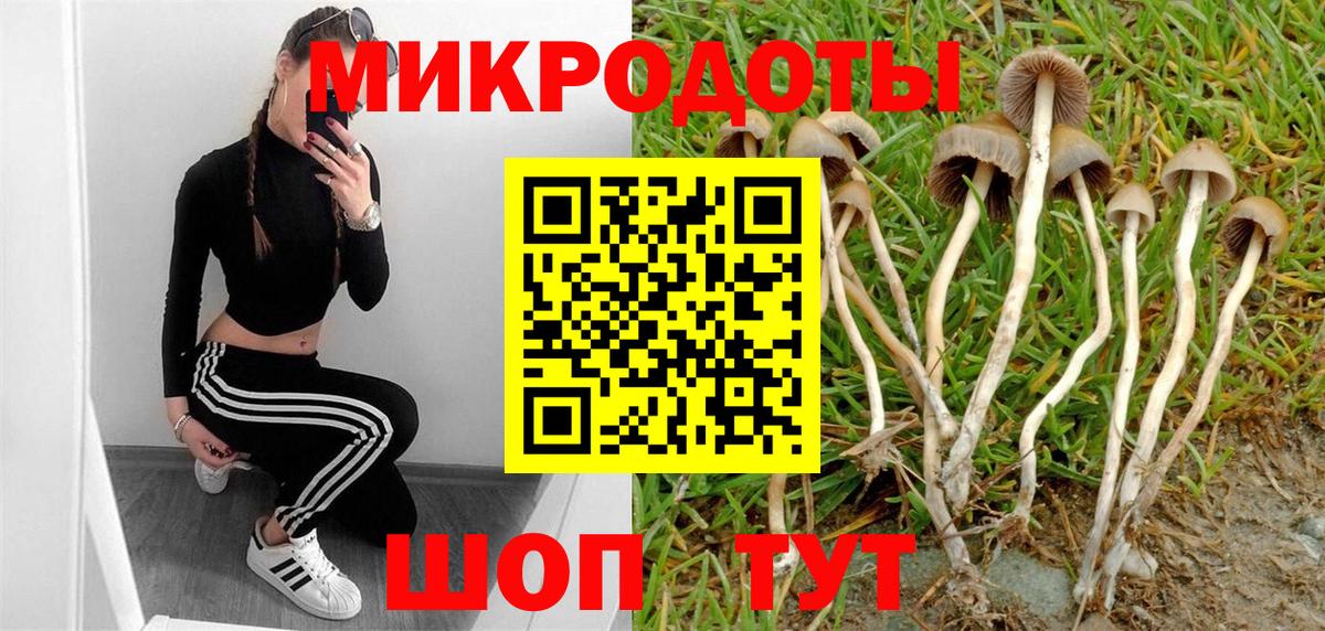 Галлюциногенные грибы мухоморы Красногорск