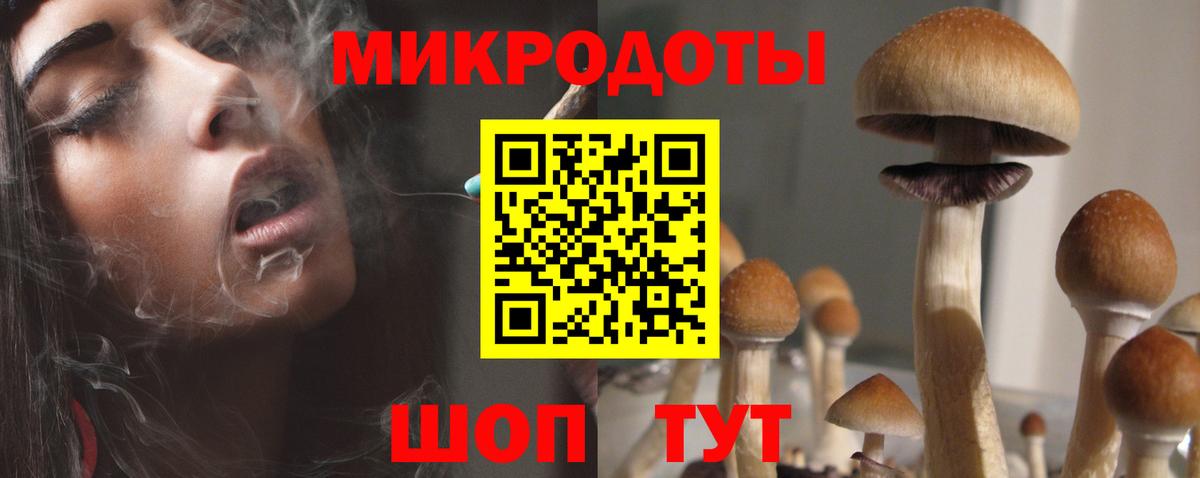 Красногорск  Псилоцибиновые грибы GOLDEN TEACHER  что такое   Вход с VPN  Галлюциногенные грибы GOLDEN TEACHER 